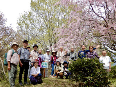 富士山と桜のハイキング写真（その２）