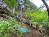 img0002.jpg