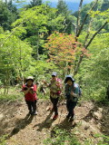 img0016.jpg