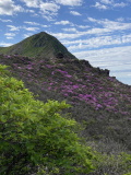 img0004.jpg