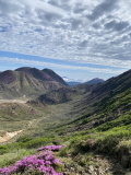 img0005.jpg