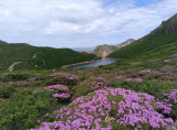 img0008.jpg