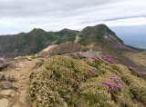 img0015.jpg